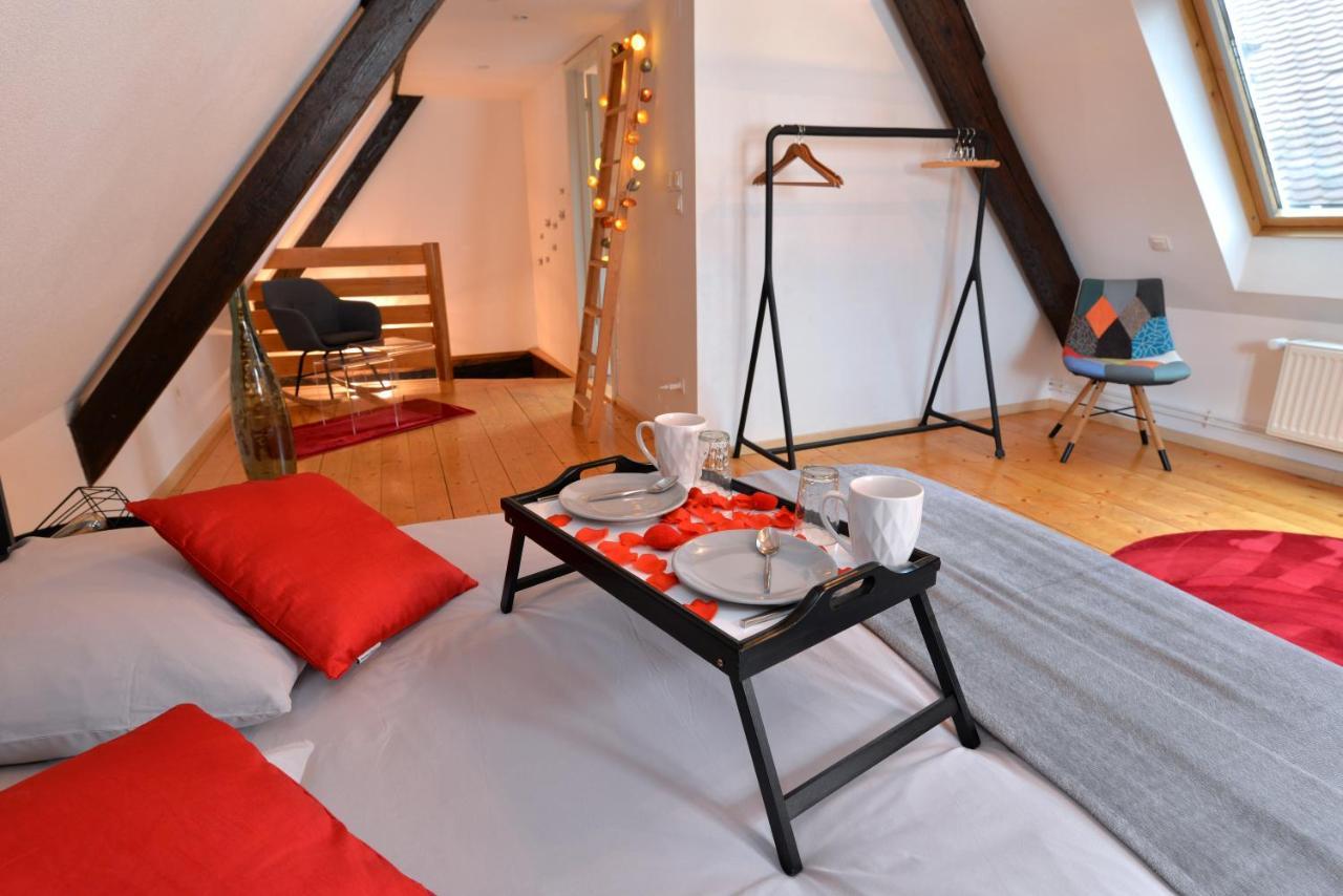Appartement L'Elegant De La Petite Venise Colmar Exterior foto